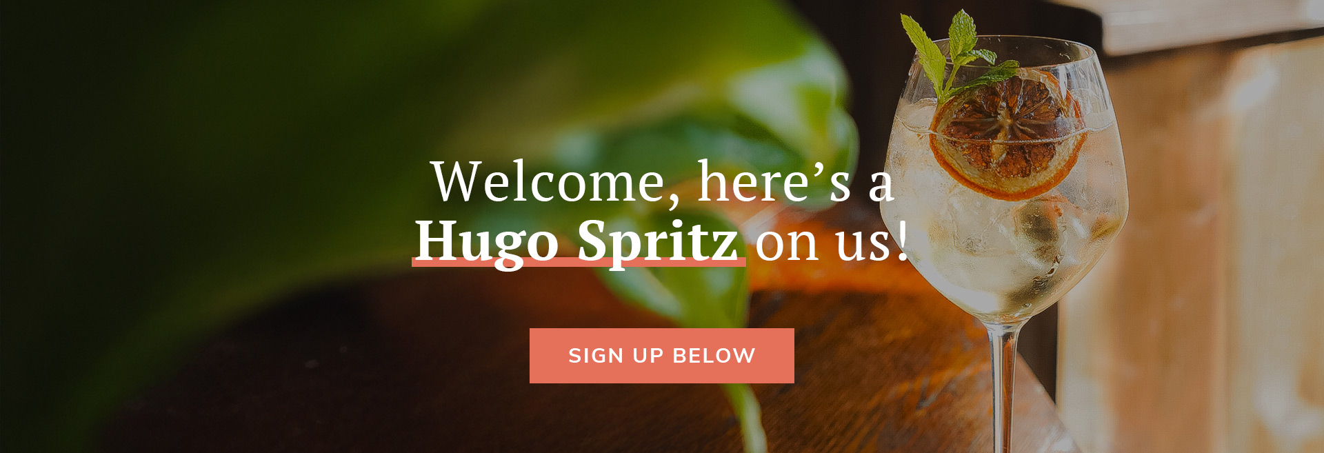 Sign up to the newsletter at The Marquis Cornwallis